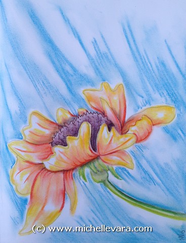 Artist miChelle Vara uses pastel to create WildFlowers