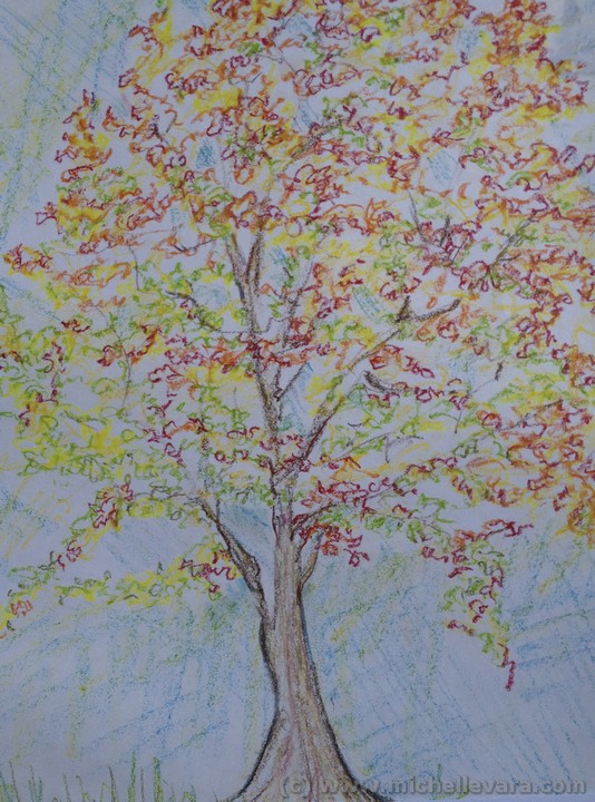 Artist michelle Vara working with Oil pastel   fall tree in Hudson NY.