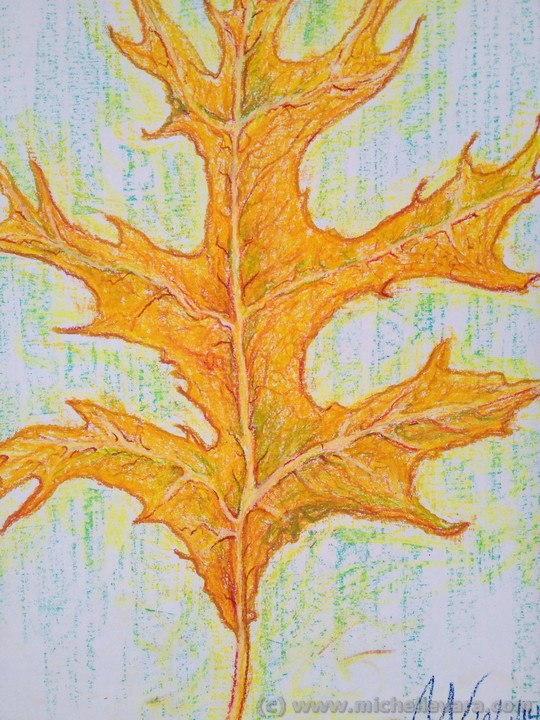 Leaf Artist michelle Vara working with Oil pastel fall tree in Hudson NY.