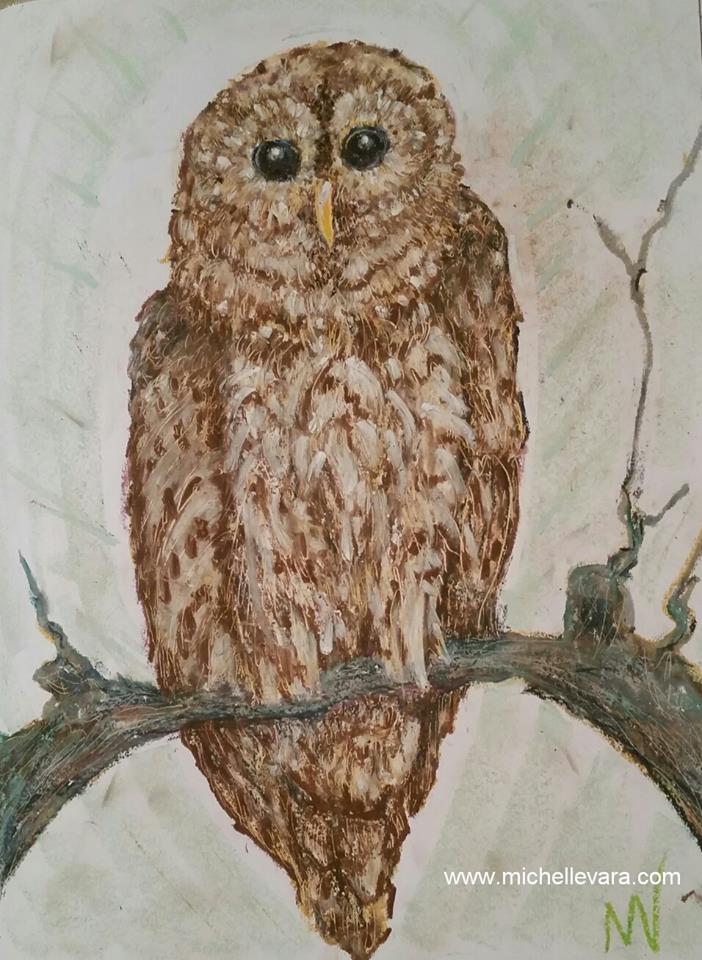 Barred Owl Oil Pastel