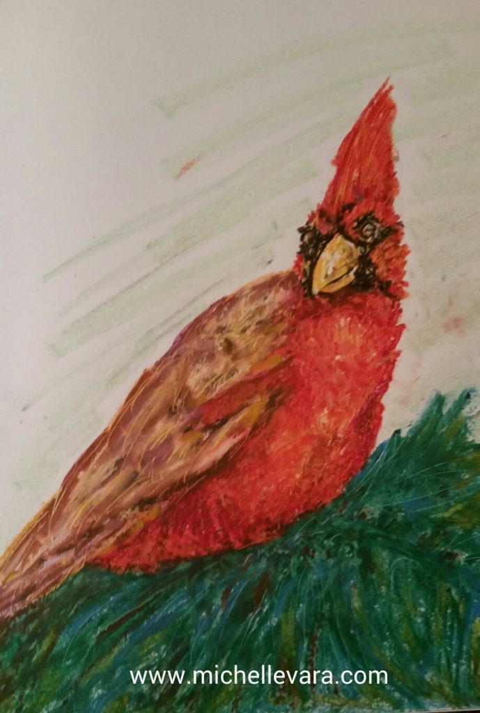 Big red Cardinal, oil pastel. michelle vara, ballard road art studio, 