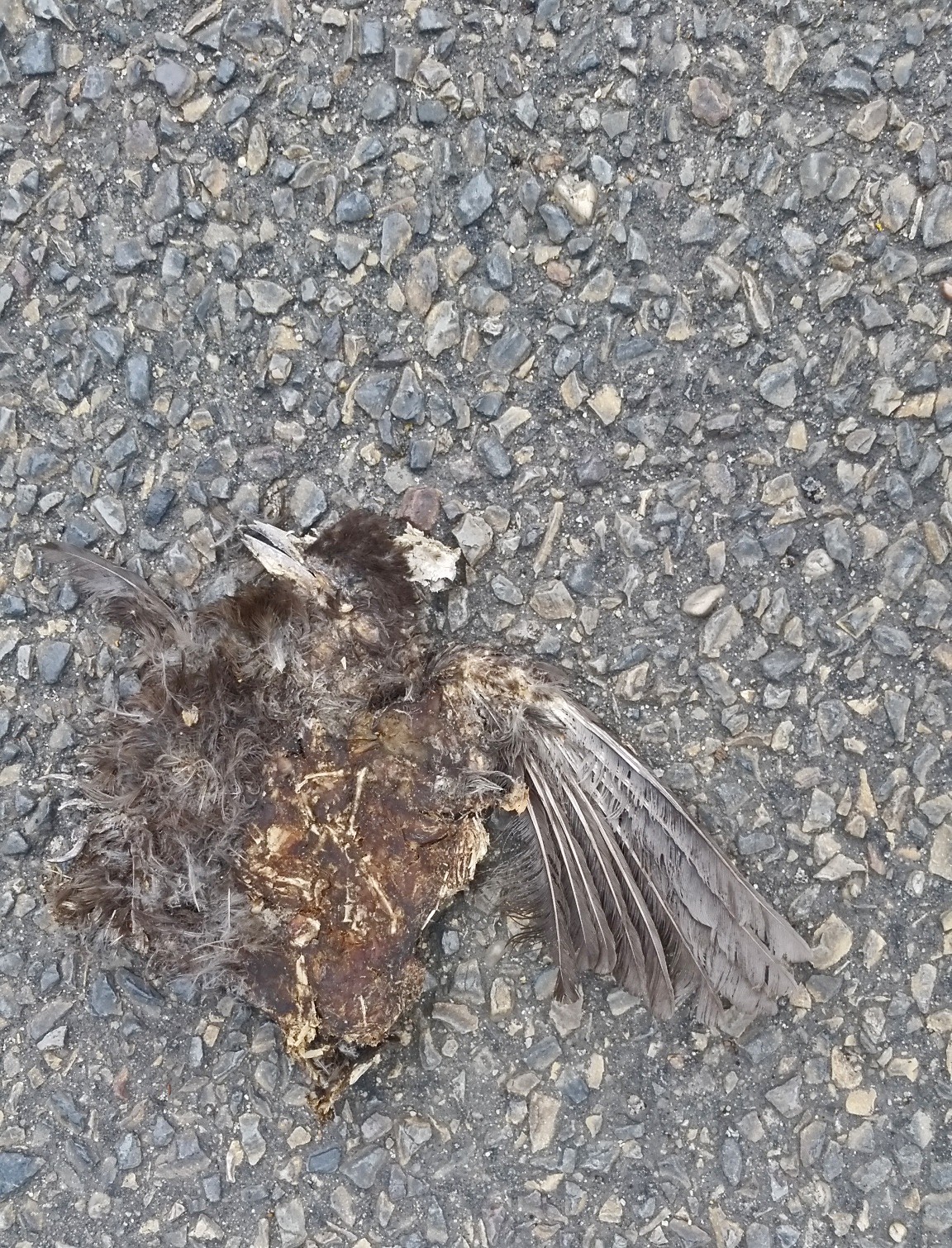 miChelleVara_Photos (14)