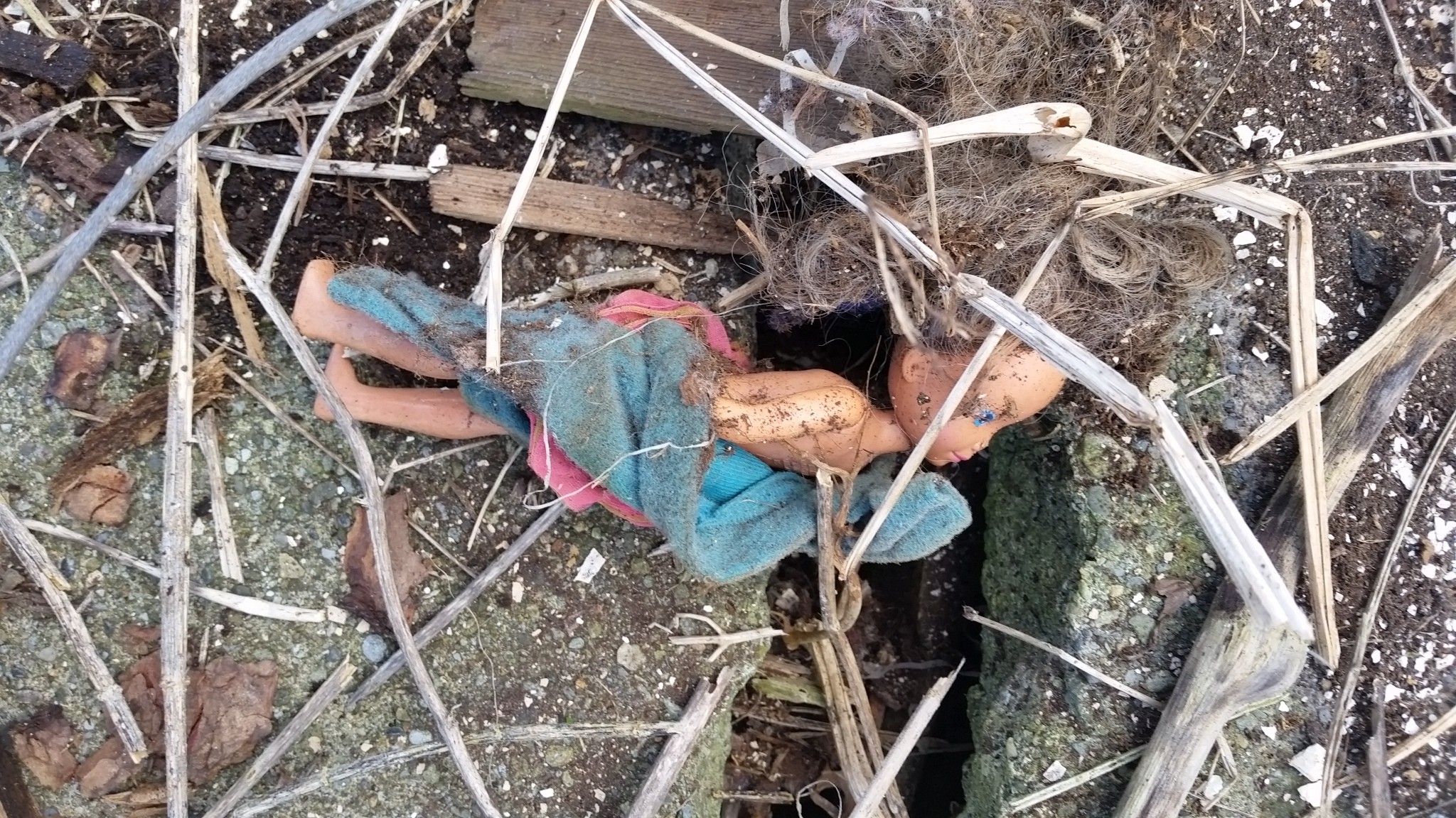 Barbie Becomes Abused