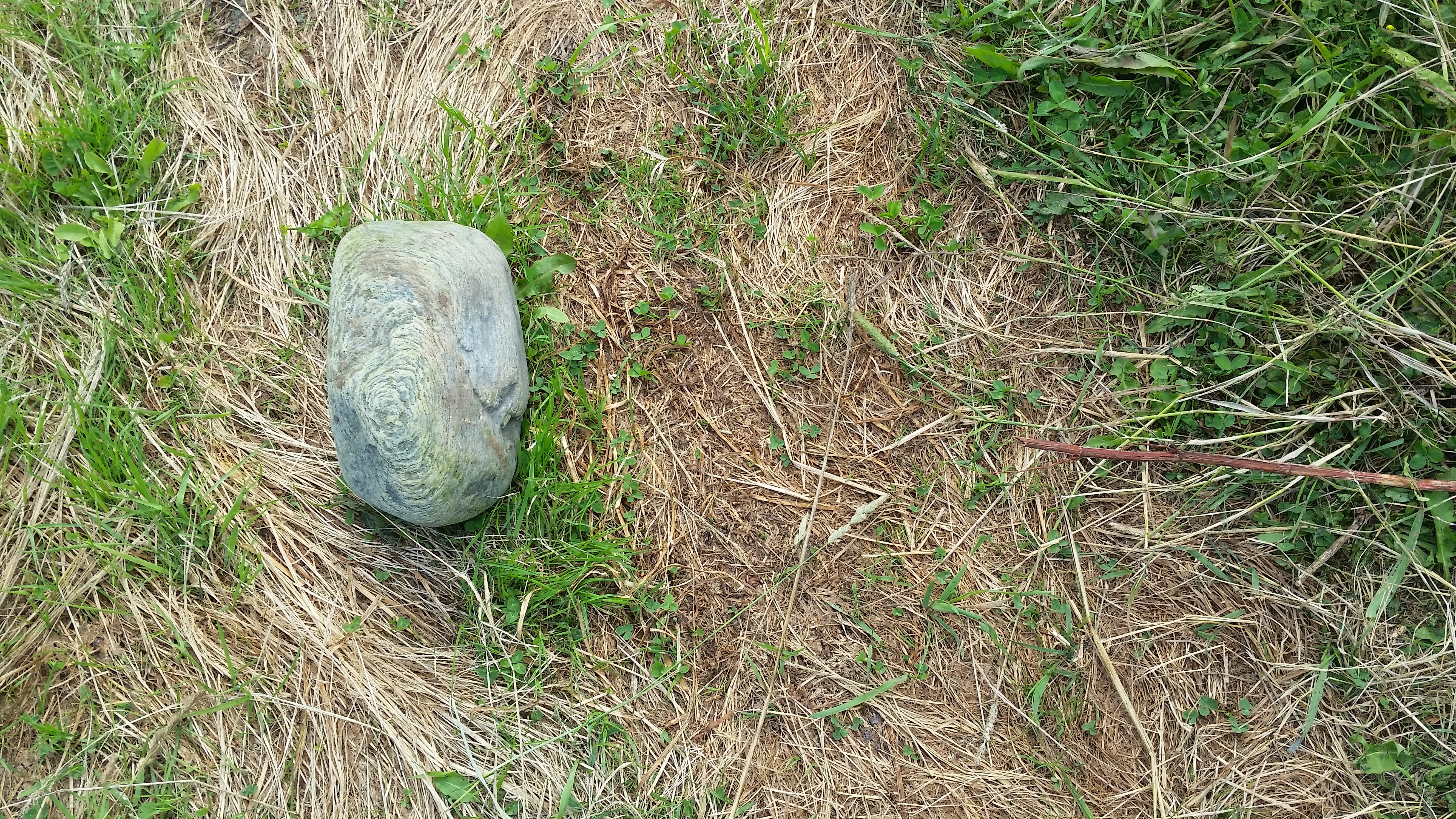 miChelleVara_Photos (21)