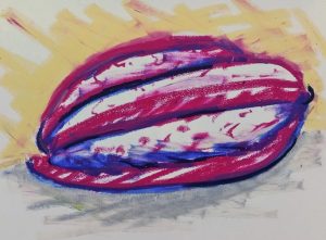 Sunflower seeds, drawings, Photographs and art book