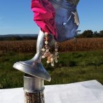 m-vara_238-False-Positive