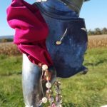 m-vara_238-False-Positive