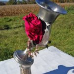 m-vara_238-False-Positive