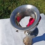 m-vara_238-False-Positive