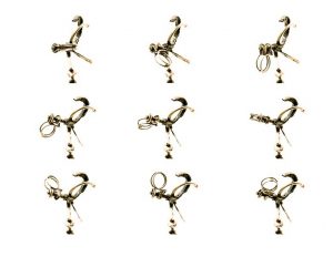 Sculpture Embryo in photographic book.