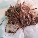 DNA to Geometry, the question this mixed media work addresses is: Is Joy related to individual DNA.