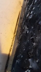 2-15-18 -21 Object photography.